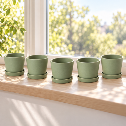 Sage Seedling Pots garden scene and product details