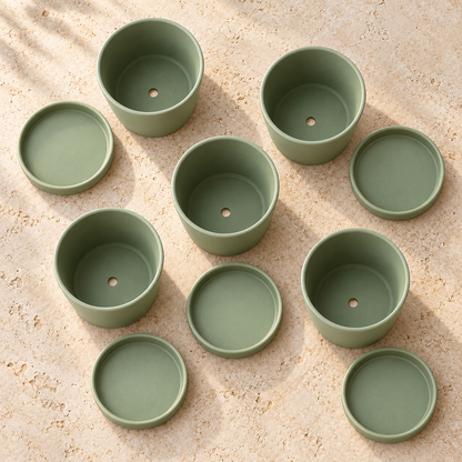 Sage Seedling Pots garden scene and product details